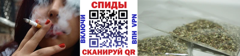где купить   Сураж  shop состав  БУТИРАТ буратино 