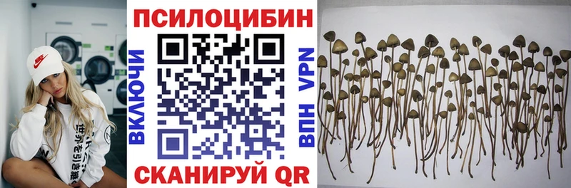 что такое наркотик  Сураж  Галлюциногенные грибы Cubensis 